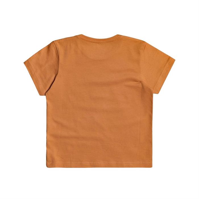 quiksilver-cocuk-t-shirt-banalleyssboy-k-tees-eqkzt03372-nlf0_2.jpg