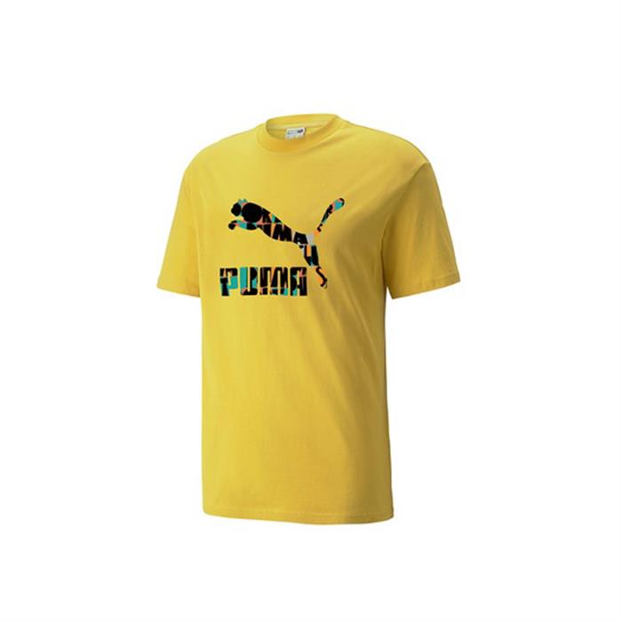puma-hc-graphic-tee-erkek-t-shirt-533632-31_1.jpg